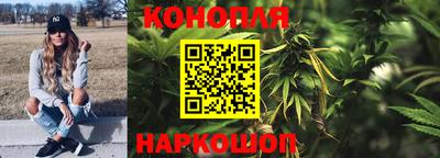 винт Анапа