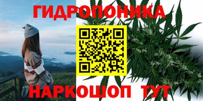 герыч Анжеро-Судженск