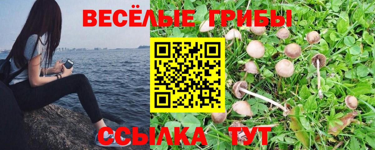АМФЕТАМИН Губаха