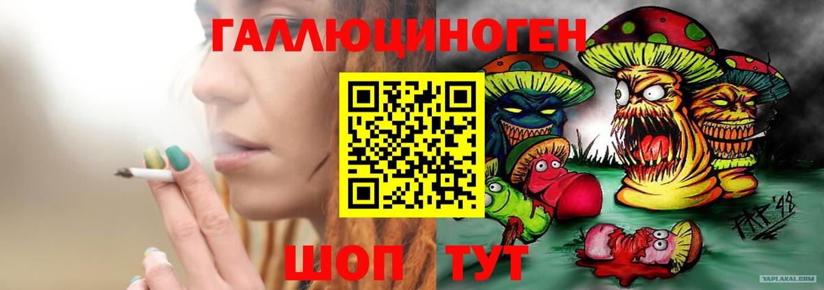 Губаха  что такое наркотик  Вход с VPN  Галлюциногенные грибы ЛСД 